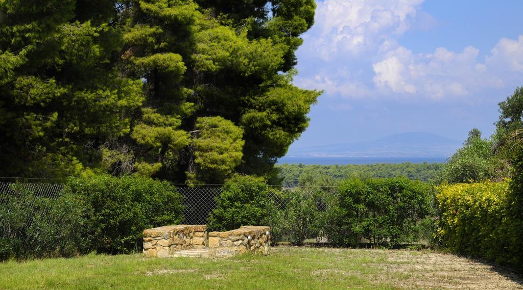 Olivos Villa Sani Sani  Rom bilde